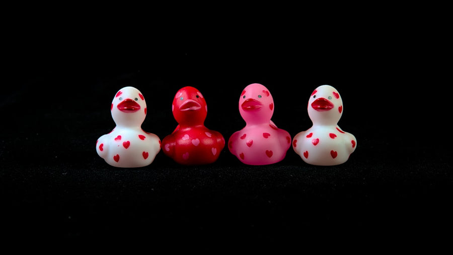 Group of tiny rubber ducks lined up in a row